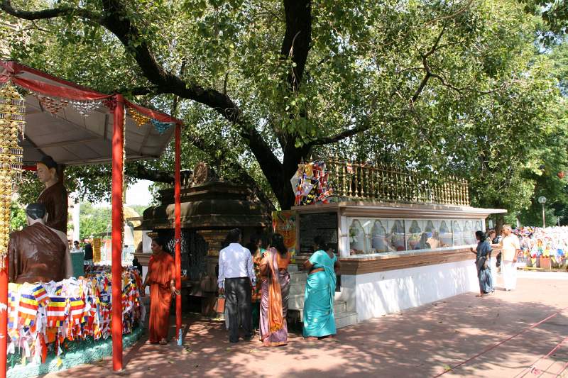 India & Nepal 2011 - 0710